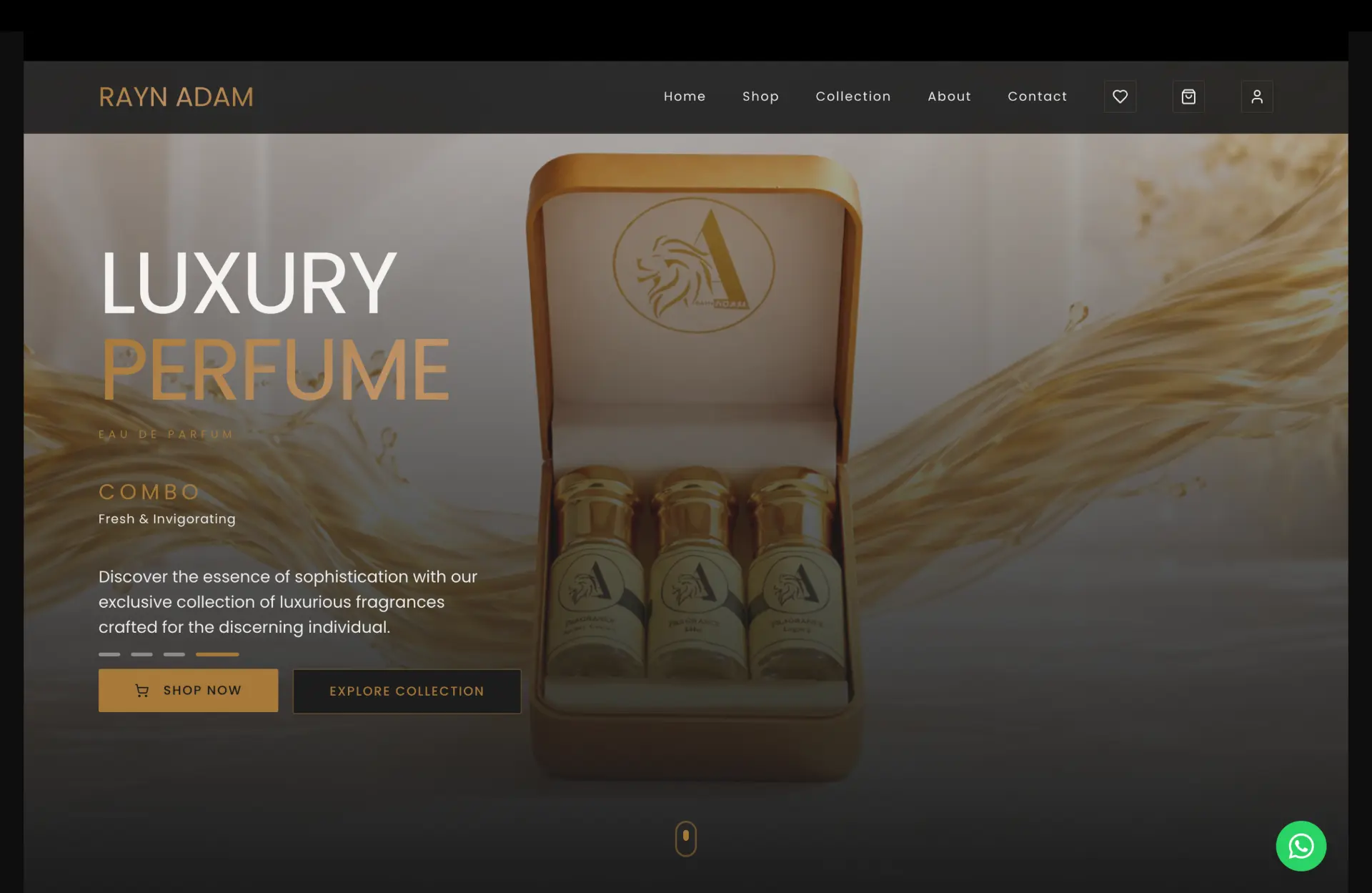 Rayn Adam website preview